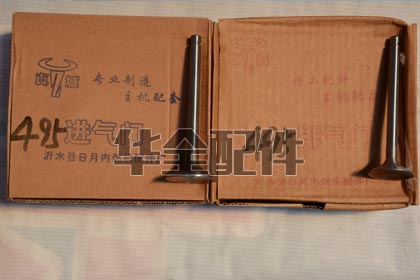 Cummins 495 Valve Generator Spare Part — 495系列_进气门