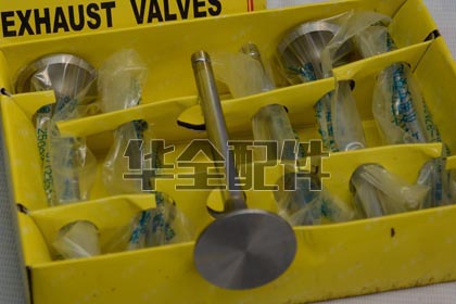 6113 Valve Generator Spare Part — 6113柴油机排气门