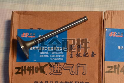 Cummins 4100D Valve Generator Spare Part — ZH4100D进排气门
