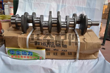 Weifang 4100/ 495 Crankshaft Generator Spare Part — 潍坊495、4100曲轴