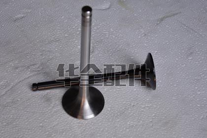 Weichai Valve Generator Spare Part — 潍柴进排气门