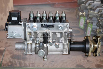 Cummins Fuel Injection Pump Generator Spare Part — 电调高压油泵