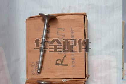Valve Generator Spare Part — 进气门